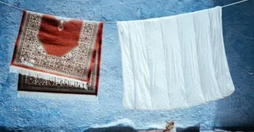 How to clean and maintain area rugs for long life
