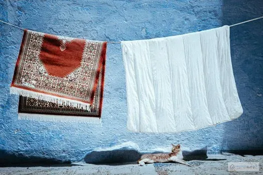 How to clean and maintain area rugs for long life
